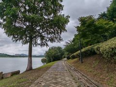 -羊山湖公园