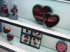 -ROSEONLY诺誓(广州K11店)