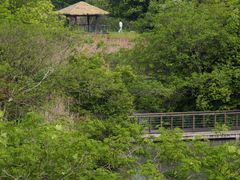 -苏州太湖国家湿地公园