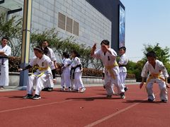 -极真空手道修远道场