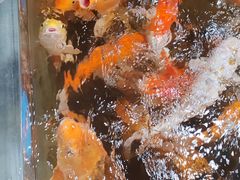 -上海大自然野生昆虫馆(东方明珠·爬宠昆虫探索中心)