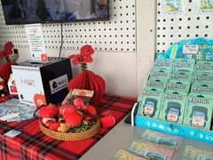 -海岛日记(养马岛店)