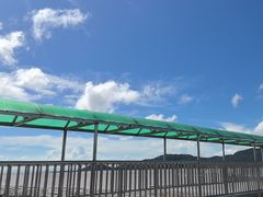 -花岙岛