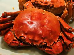 -南京大牌档(中关村领展广场店)