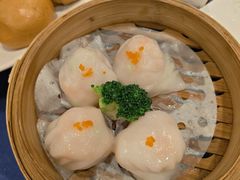-金龙寨(龙城路店)