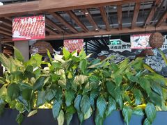-管氏翅吧(台湾街店)