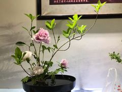 -合肥三国新城遗址公园