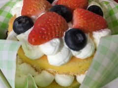 -天使宠物医院·犬猫分诊(彩虹店)