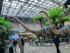 -国家自然博物馆