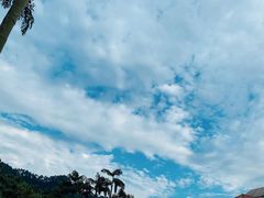 -重庆海昌加勒比海水世界