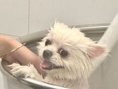 -comecome来吧宠物(奥克斯中心店)