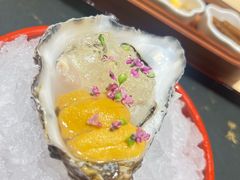 -辉·四季料亭·怀石料理·深夜食堂烧鸟·Omakase