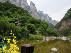 -云台山风景名胜区