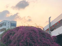 -西亚兴安超市(伍仙桥店)