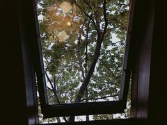 -Amanda餐厅(长乐路店)