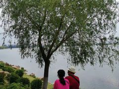 -丁香湖公园