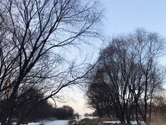 -灞河西岸滨河公园