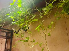-万记麻辣烫国展总店