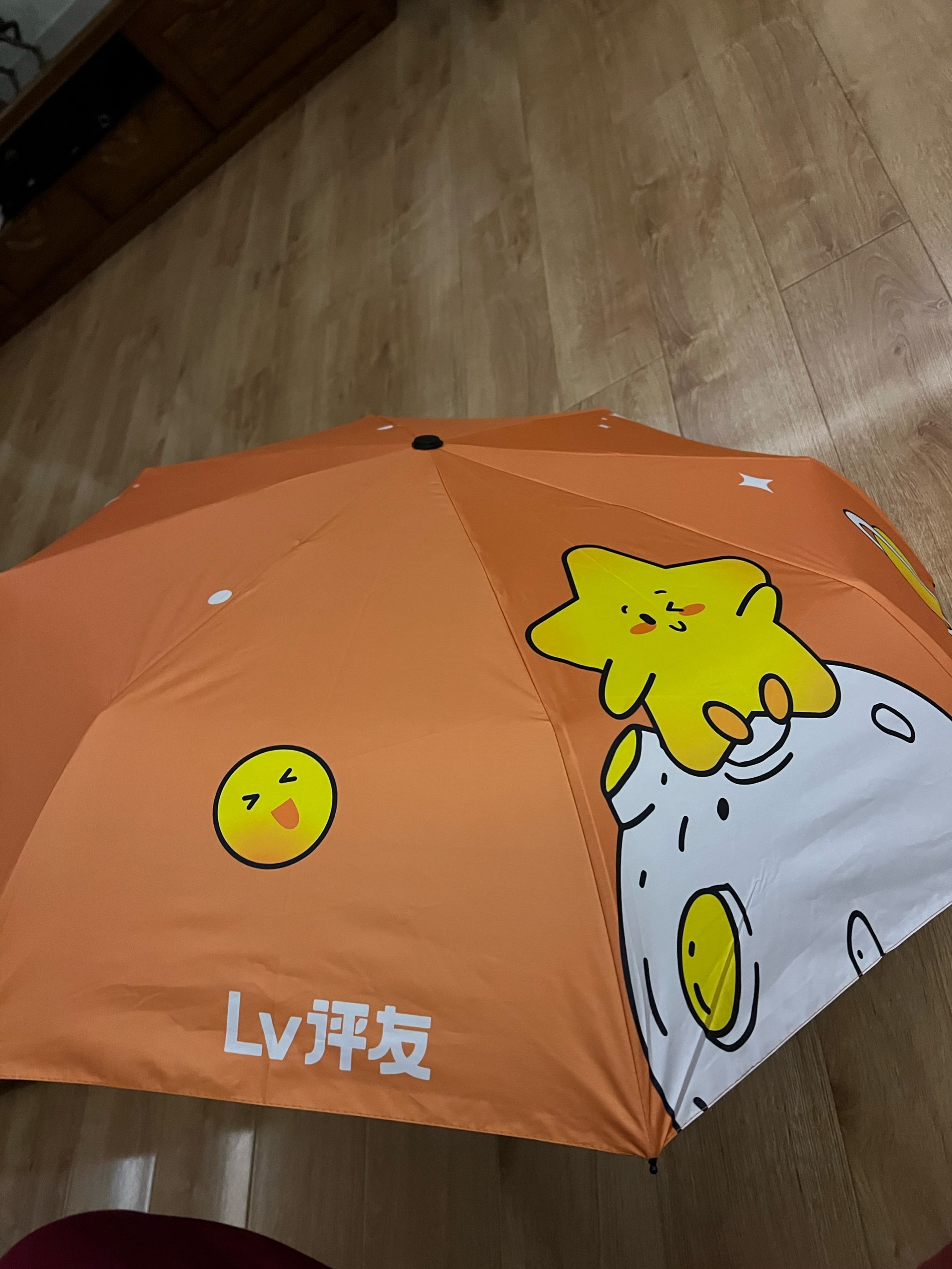 lv雨伞专柜价图片