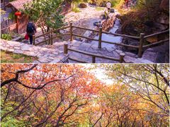 -周口店坡峰岭风景区