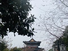 -阅江楼风景区