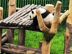 -沈阳森林动物园