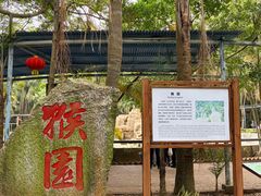 -广东茂名森林公园