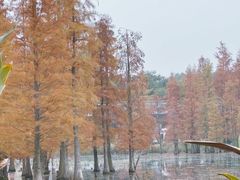 -白鹭湾湿地公园