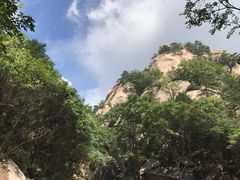 -六里坪国家森林公园