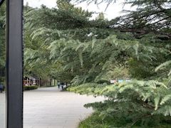 -北京植物园-展览温室