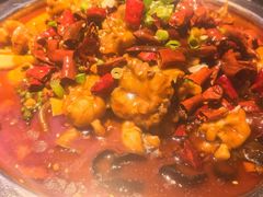 -美蛙四季(黄寺大街店)