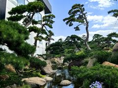 -罗红摄影艺术馆