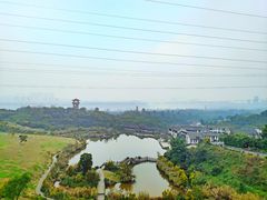 -张坝桂圆林公园