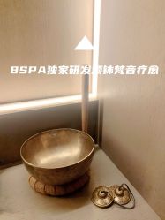 -8SPA养愈空间·新中式疗愈spa