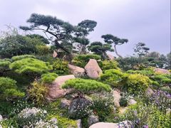 -罗红摄影艺术馆