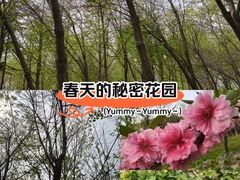 -桃苑公园