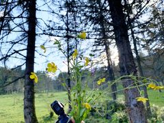 -硗碛藏寨·神木垒景区