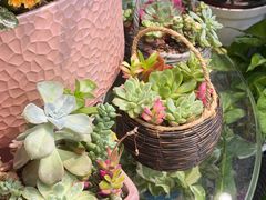 -FEI FEI FLOWER鲜花店·气球派对·宝宝宴布置(虹口德必运动Loft店)
