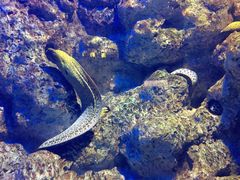 -福州罗源湾海洋世界旅游区