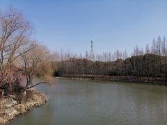 -自然谷恐龙园