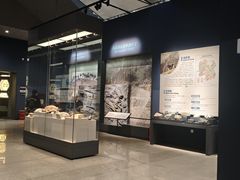 -湖南省地质博物馆