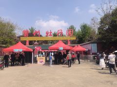 -曹州牡丹园