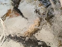 -金台阶鱼馆(于桥水库店)