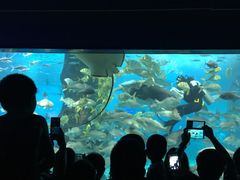 -北戴河圣蓝海洋公园