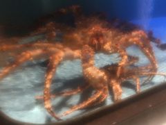 -阿伟海鲜楼·福建菜(延寿店)