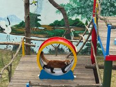 -西霞口神雕山野生动物世界