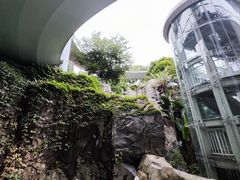 -仙岳公园