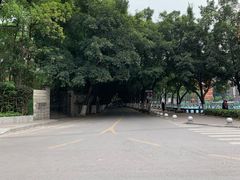 -西南政法大学(沙坪坝校区)