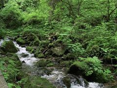 -神农架景区