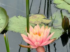 -昆山城市生态森林公园